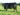 Abberton Duchess Dancer E091