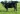 Abberton Miss Burgess K226
