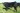 Abberton Mr Bingo K234