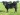 Abberton Pride Nanny K230