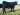 Abberton Pride Narniaparis K222