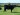 Abberton Pride Narniaparis K222
