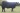 Abberton Pride Primrose F134