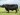 Abberton Miss Burgess C064