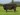 Abberton Pride Nanny E093