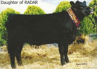 Daughter of Radar