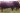 Abberton Dazzle G160