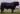Nightingale_Regent_R27_800